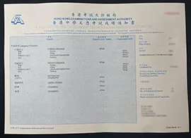 Trusted Sources to Buy HKDSE transcript online