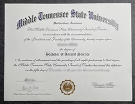 Fast and Easy: Buying a MTSU Diploma Online