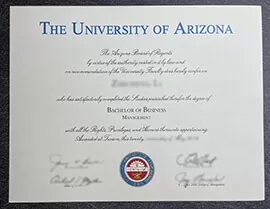 How to Get a Copy of University of Arizona in One Day?