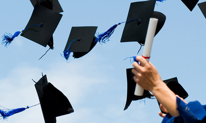 fake diploma