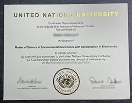 Get a United Nations University Diploma Replica Today