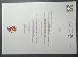 How much to order Cardiff University Diploma?