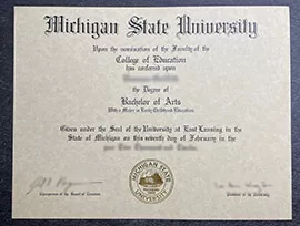 Simple ways to get a Michigan State University diploma