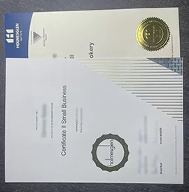 Where to order Fake Holmesglen Institute Certificate?