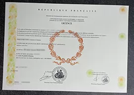 Where to Order Université Paris Lumières Certificate?