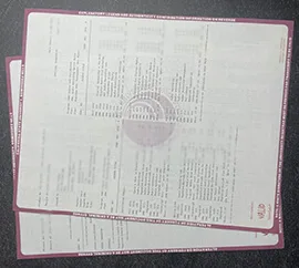 Can I order fake CSUDH transcript and diploma?