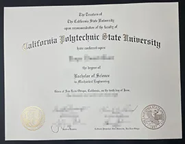 How to order Cal Poly diploma? Realistic fake diploma online.
