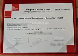 How to get fake Emlyon Business School diploma?