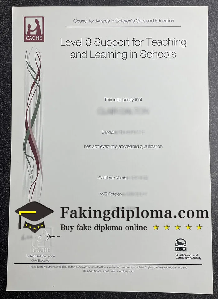 Buy Level 3 Support for Teaching and learning in Schools certificate. buy CACHE certificate?