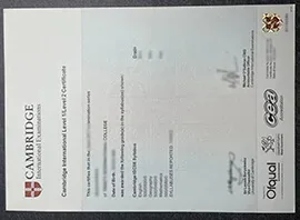 Where to get Cambridge International Level 1/Level 2 Certificate?