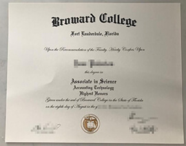 I was looking for a Realistic Broward College Degree.