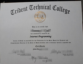 How Can I order Trident Technical College Fake certificate?