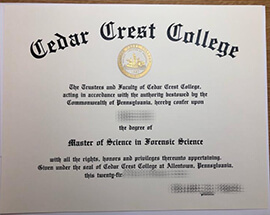 How much does it cost to get a Cedar Crest College diploma?