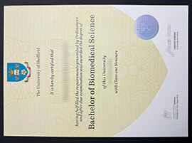 How to Order Fake University of Sheffield diploma?