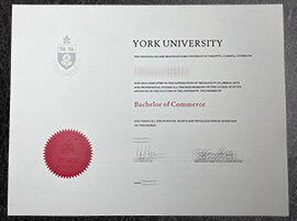How to buy Fake York University diploma?