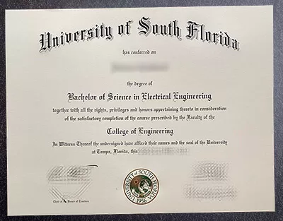 Can I order University of South florida fake diploma?