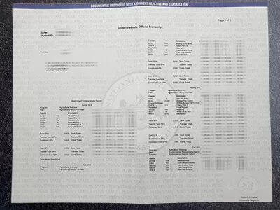 Realistic Penn State Fake Transcript for Sale