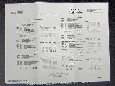Towson University Fake Transcript for Personal Use