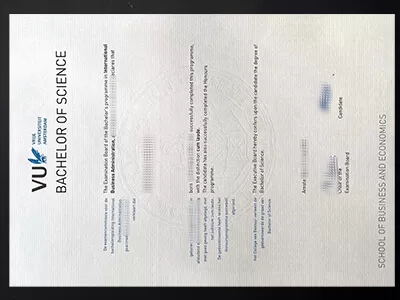How to order Vrije Universiteit Amsterdam Diploma?