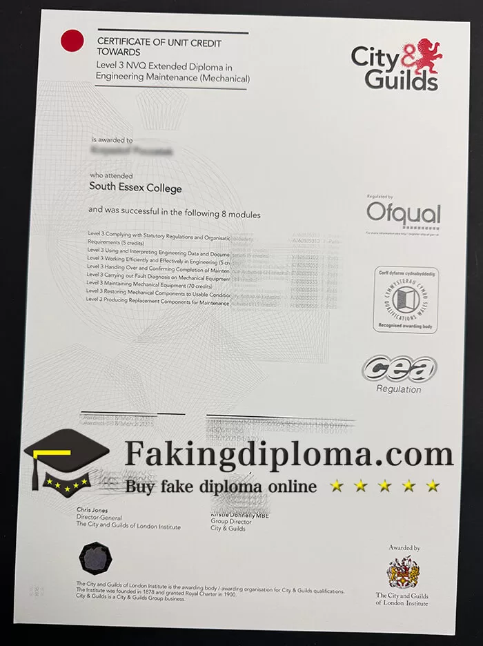 City and Guilds Level 3 NVQ diploma