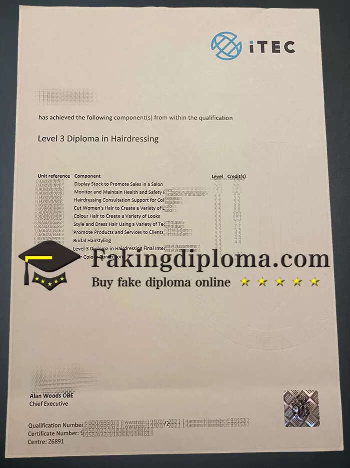 where to buy iTEC Level 3 diploma?